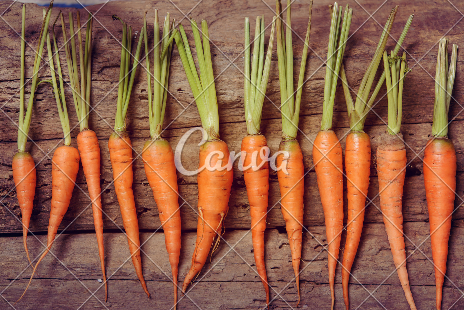 巴氏计量槽作用是什么（巴氏计量槽工作原理）