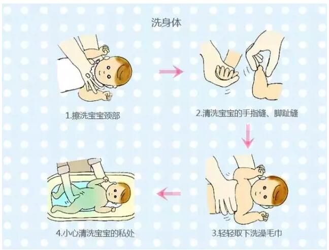 独立候选人纳夫罗茨基赢得波兰总统选举