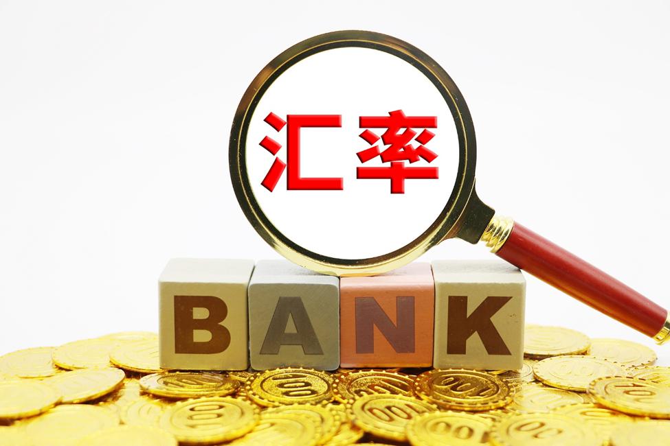 深耕创作沃土 讲好徐闻故事