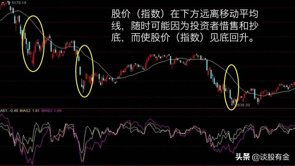 快讯丨朱会东调研城市环境管理和生态环境保护有关情况