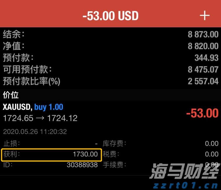 “稀客”紫背椋鸟到访福建